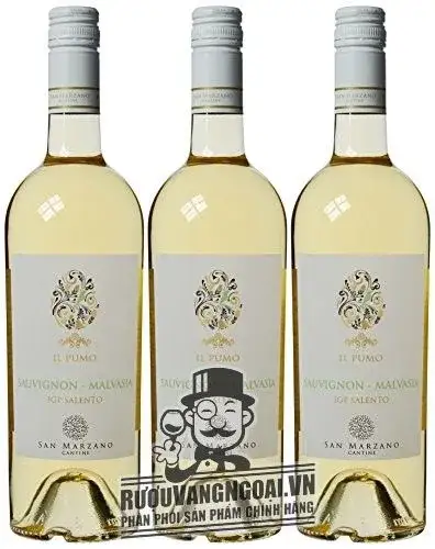 Vang Ý IL Pumo Sauvignon Malvasia
