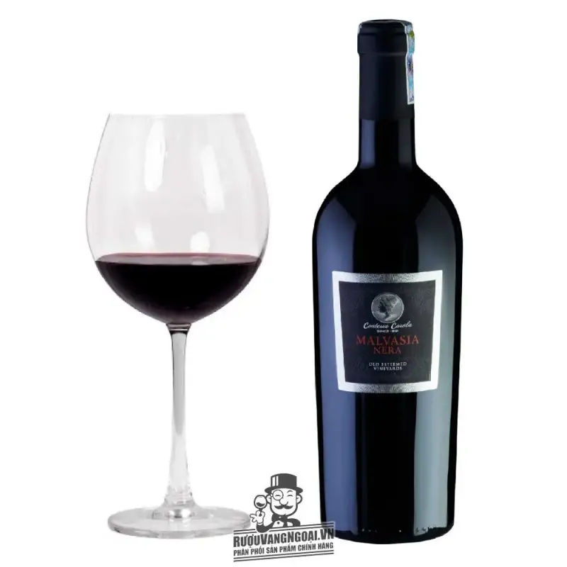 Vang Ý Malvasia Nera IGT Puglia Contessa Carola