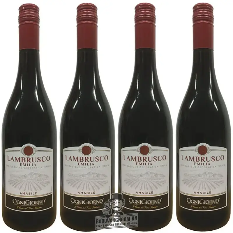 Mua vang y lambrusco dell emilia ogni giorno giá rẻ tại Sài Gòn