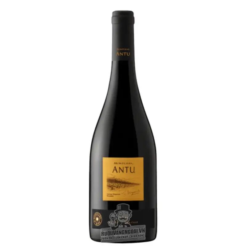 Vang Chile Antu Shiraz