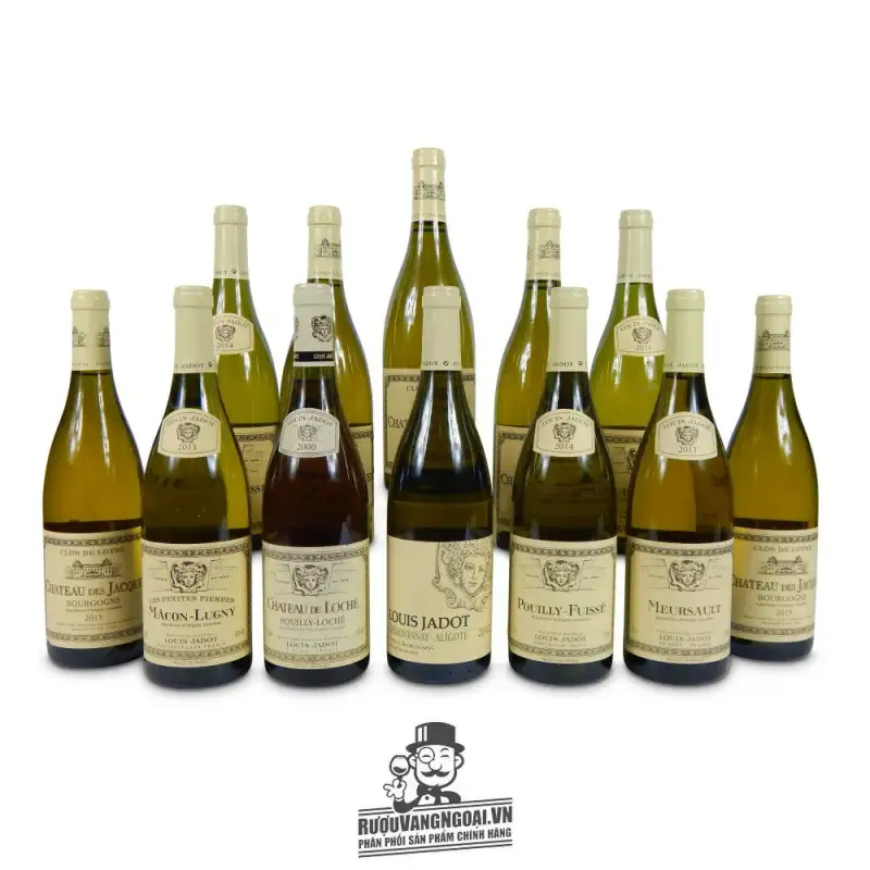 Địa chỉ bán vang phap bourgogne aligote louis jadot giá rẻ nhất