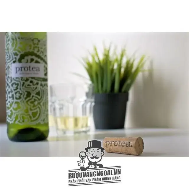 Rượu Vang Nam Phi PROTEA CHENIN BLANC
