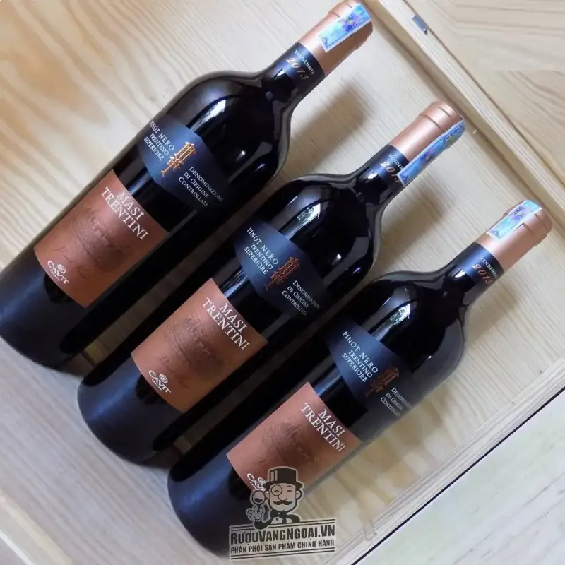 I Masi Trentini Pinot Nero