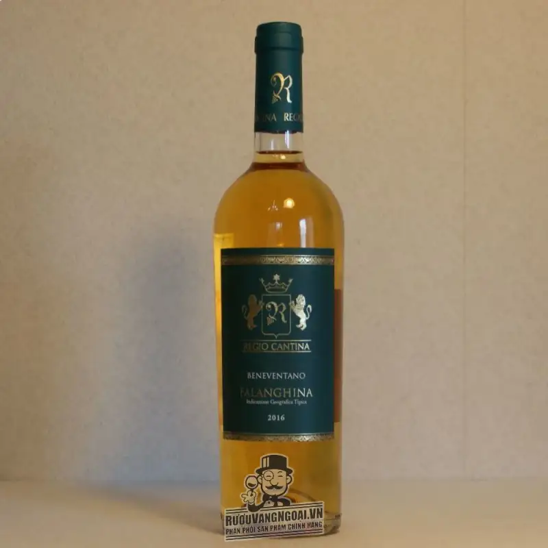 Vang Ý Regio Cantina Falanghina IGT Beneventano