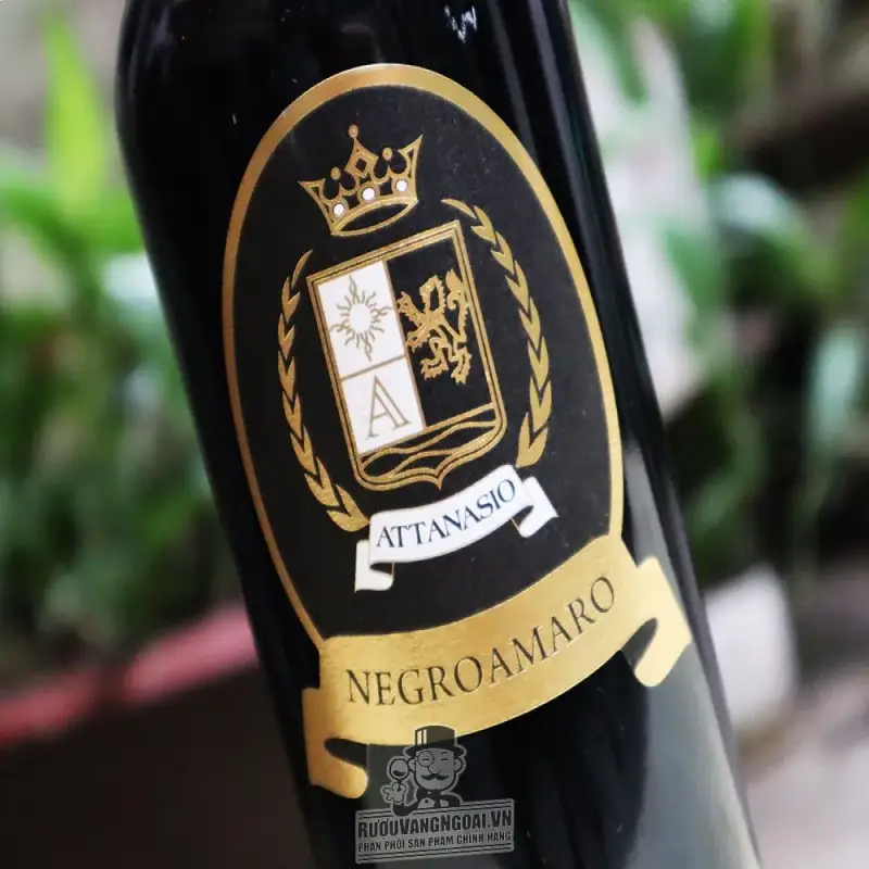 vang-y-attanasio-negroamaro
