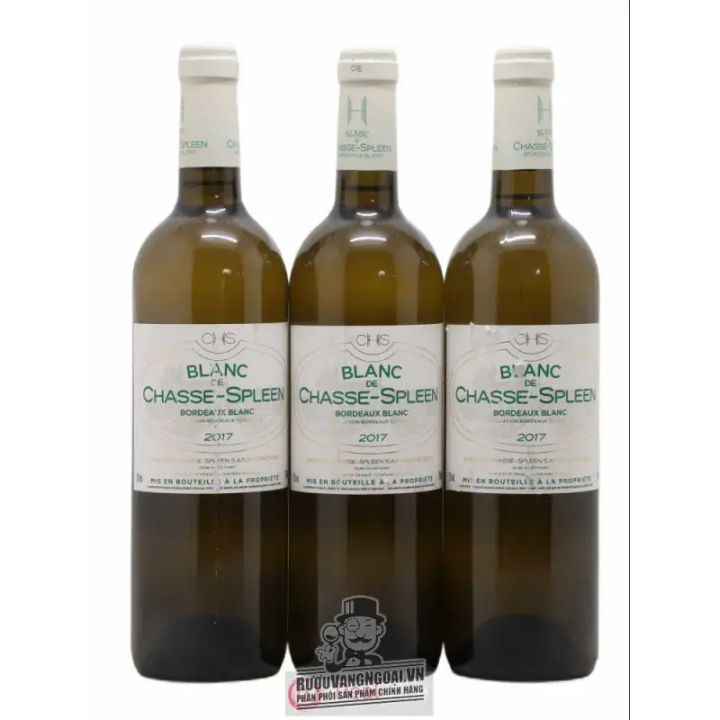 Địa chỉ mua vang phap blanc de chasse spleen bordeaux blanc giá rẻ nhất