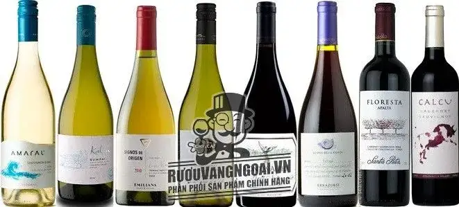 Vang Chile EMILIANA SIGNOS De Origen Chardonnay