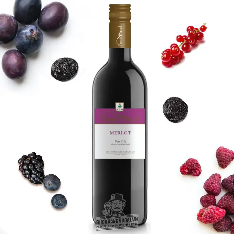 Địa chỉ bán vang phap louis pinel merlot giá rẻ nhất