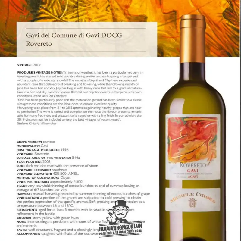 Địa chỉ bán vang y michele chiarlo rovereto gavi giá rẻ nhất