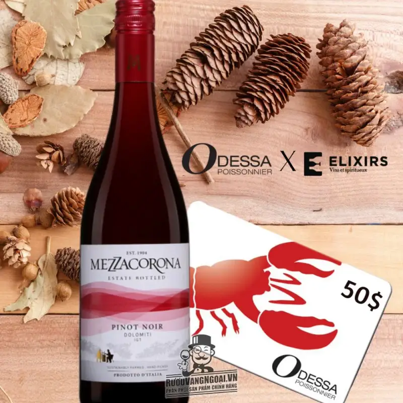 Địa chỉ bán vang y mezzacorona pinot noir dolomiti igt giá rẻ tại Sài Gòn