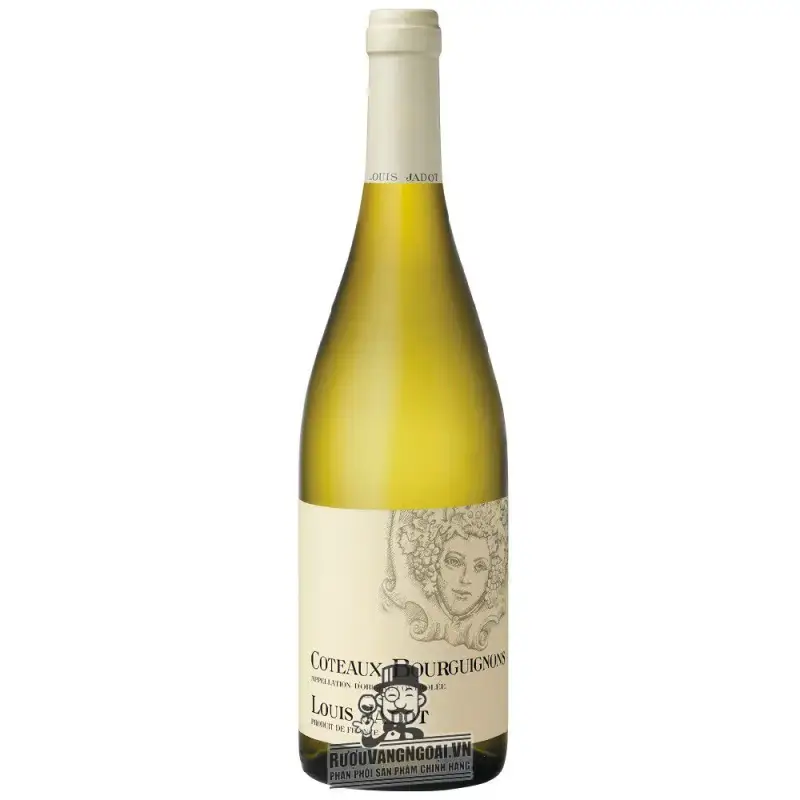 Vang Pháp Coteaux Bourguignon Louis Jadot uống ngon