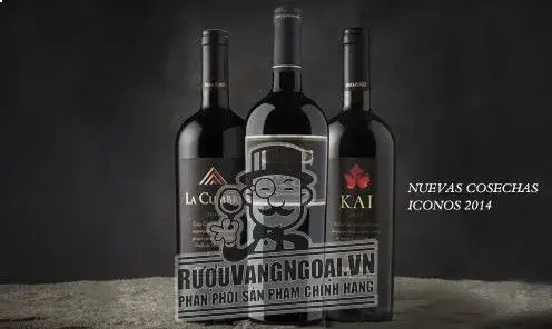 Káº¿t quáº£ hÃ¬nh áº£nh cho kai carmenere errazuriz 2016