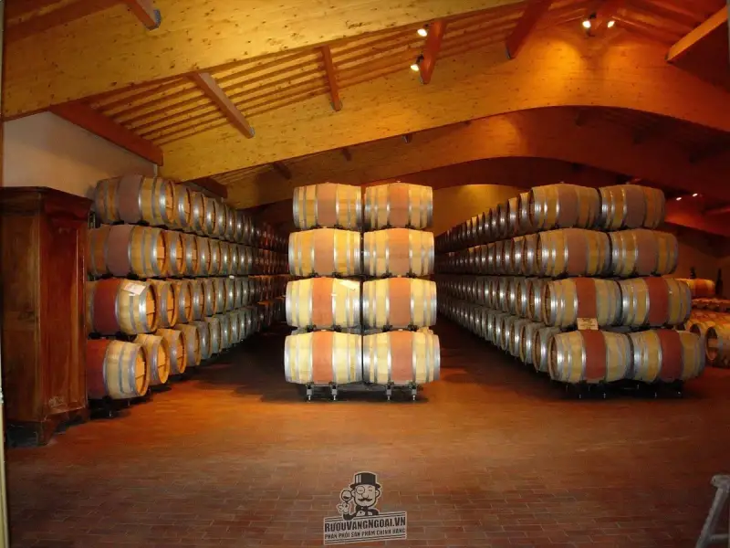 Vang Pháp CHATEAU HAUT SURGET LALANDE DE POMEROL