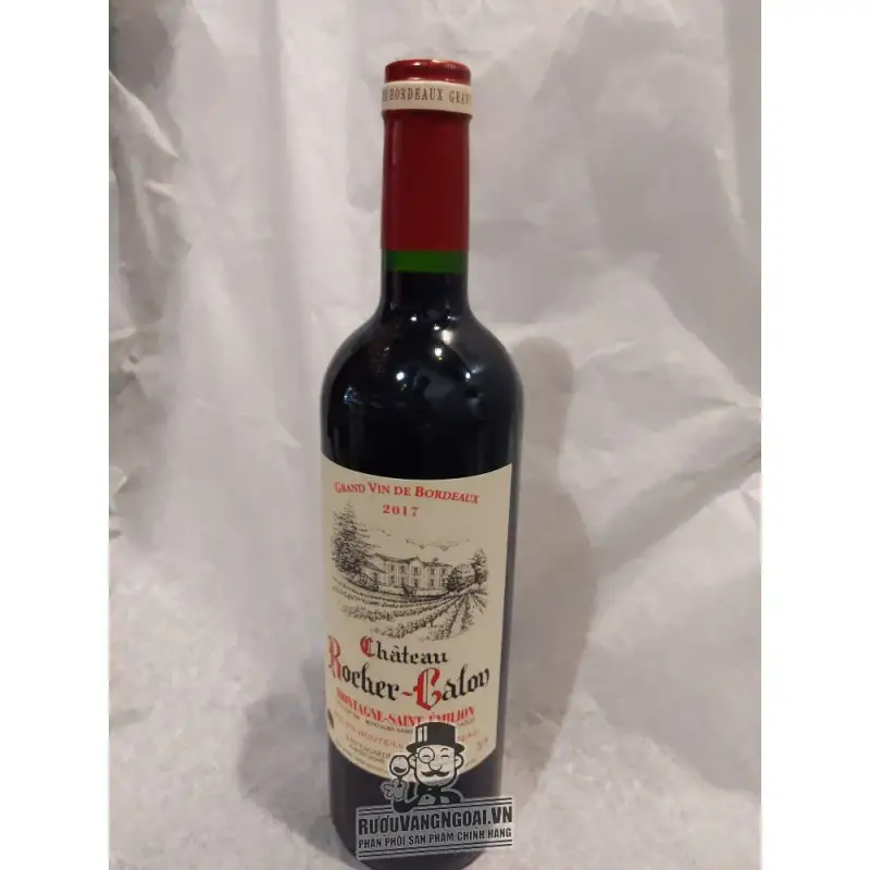 Địa chỉ mua vang phap chateau rocher calon giá rẻ nhất