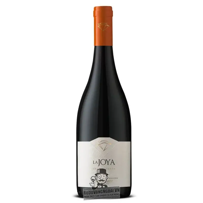 Vang Chile La Joya Gran Reserva Pinot Noir Bisquertt