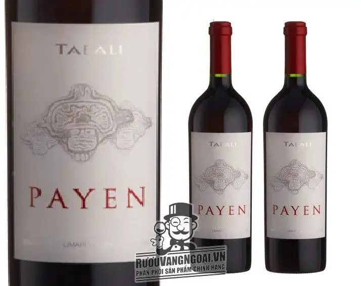 Vang Chile TABALI PAYEN