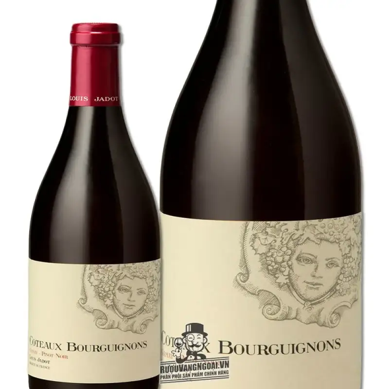 vang phap louis jadot coteaux bourguignon do giá bao nhiêu