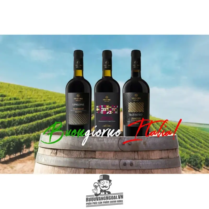 Vang Ý Batisteo Primitivo di Manduria Riserva Feudoro Hảo hạng