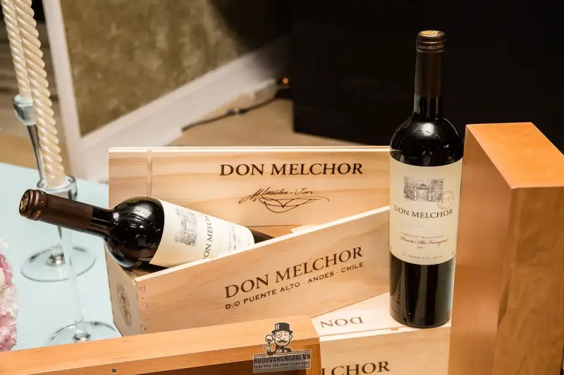 Vang Chile DON MELCHOR