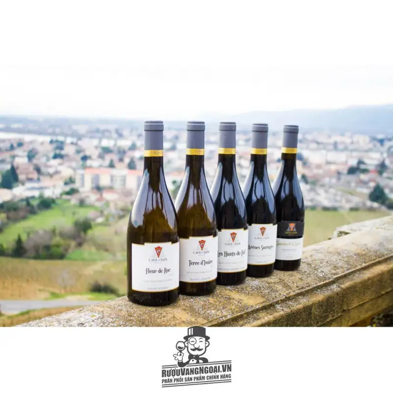 Địa chỉ mua vang phap les hauts du fief crozes hermitage giá rẻ nhất