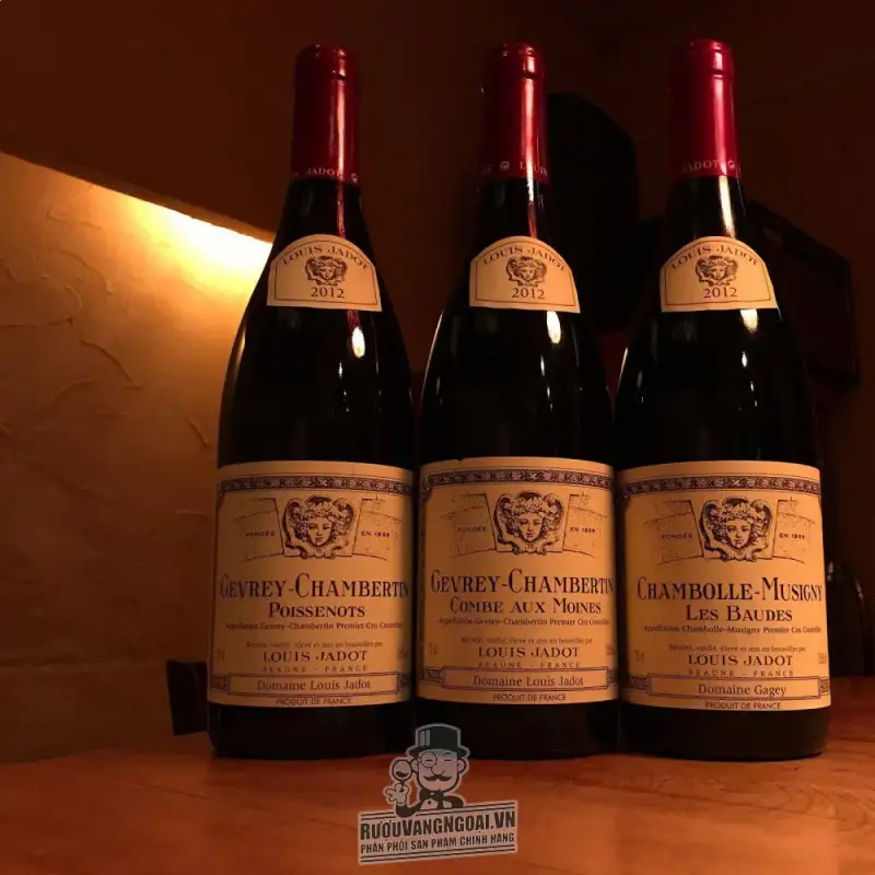 Vang Pháp Chambolle Musigny Les Baudes Louis Jadot cao cấp