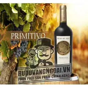 Vang Ý Pietre del Sole Primitivo