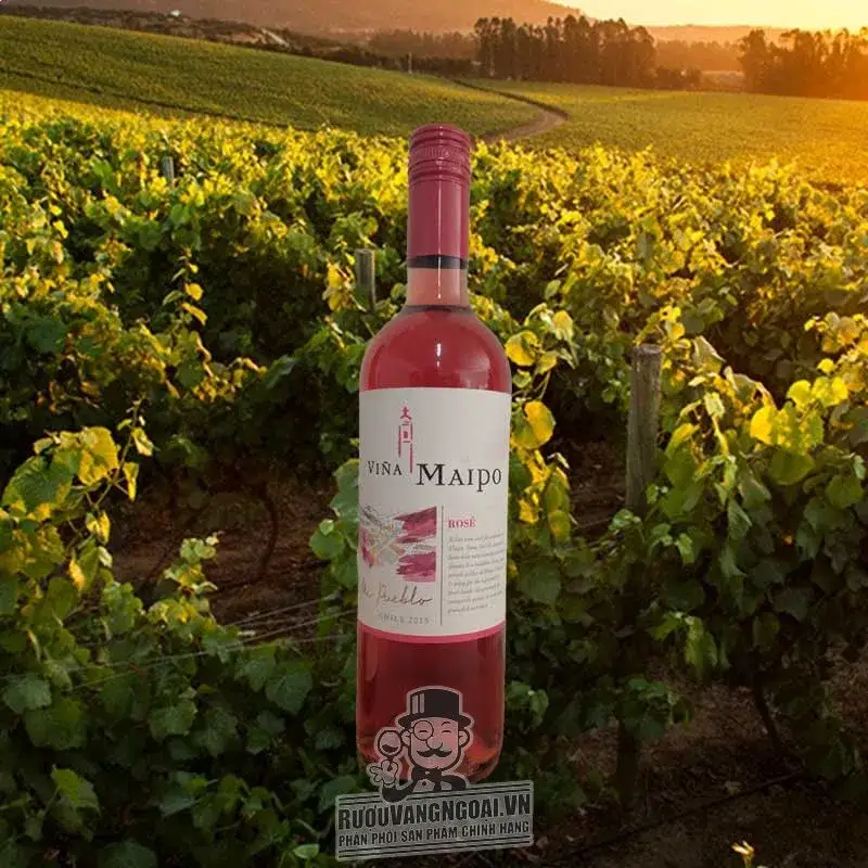 Rượu vang hồng Vina Maipo Mi Pueblo Rose