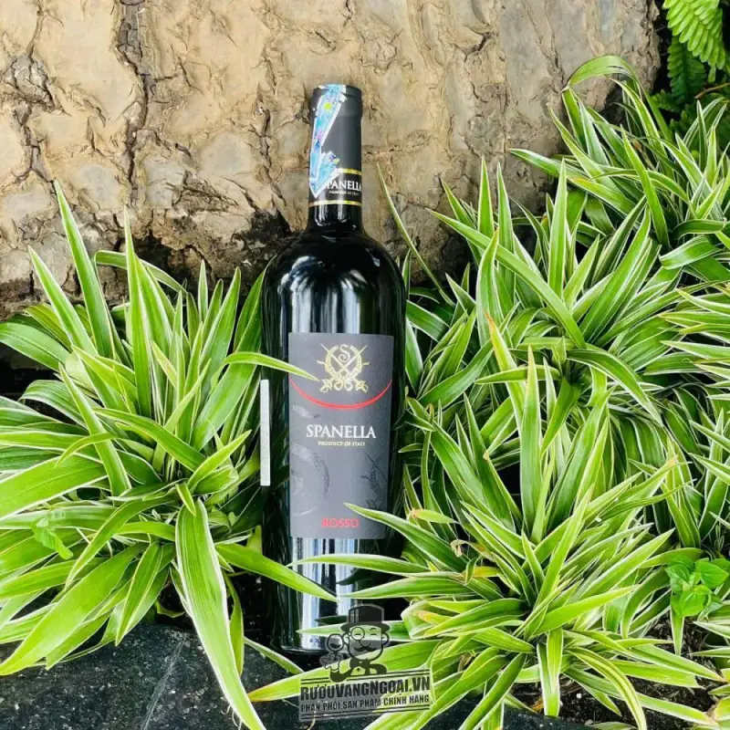 Mua ruou vang spanella rosso ở đâu giá rẻ nhất