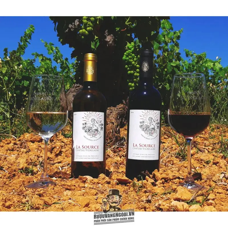 Mua vang phap la source chateau vignelaure ở đâu giá rẻ nhất