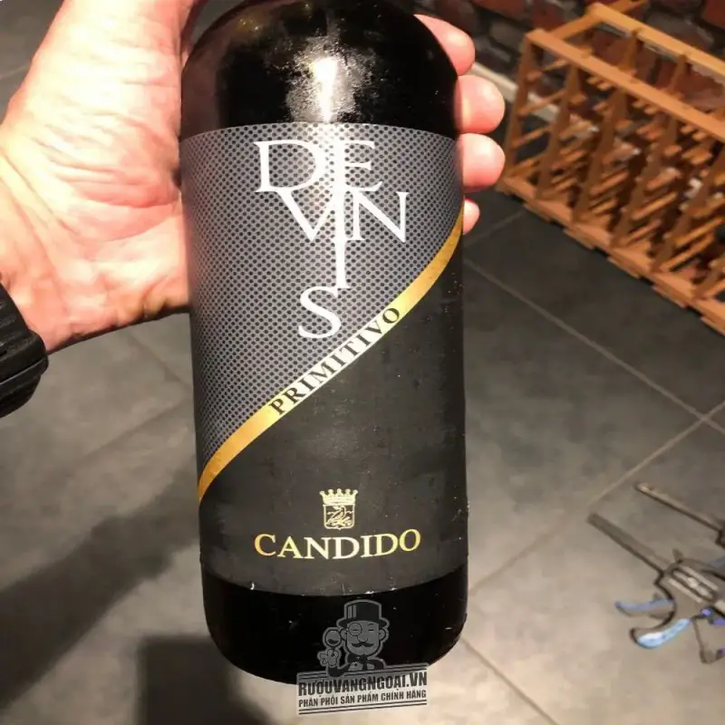 Giá vang y candido devinis primitivo salento