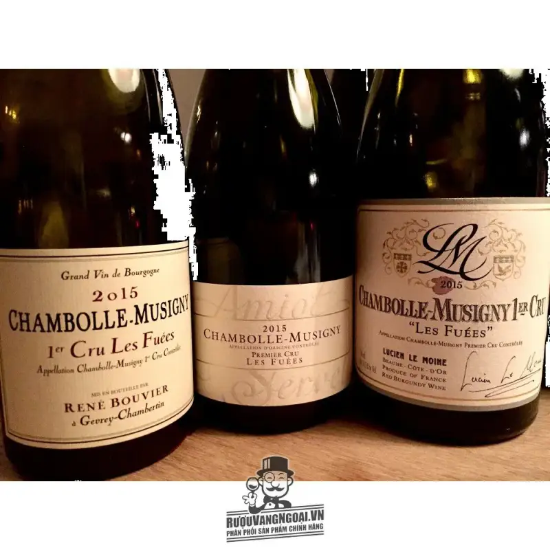 Địa chỉ mua vang phap chambolle musigny les fuees louis jadot giá rẻ nhất