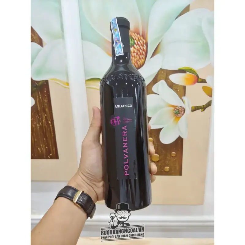 Địa chỉ bán ruou vang do chat aglianico polvanera puglia organic wine giá rẻ nhất