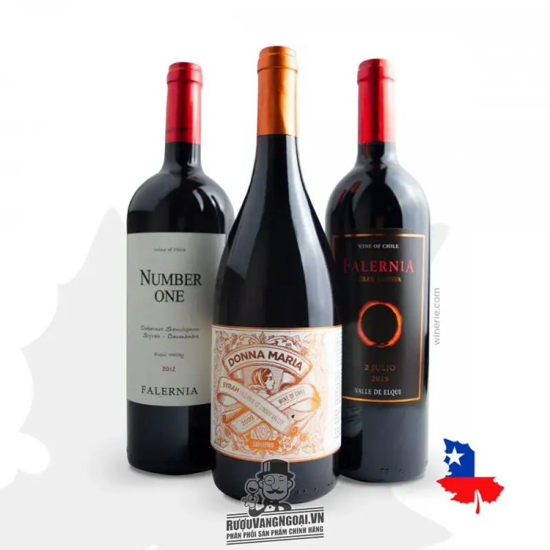 Vang Chile DONNA MARIA FALERNIA