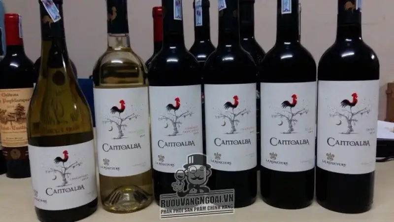 Vang Chile Cantoalba Malbec