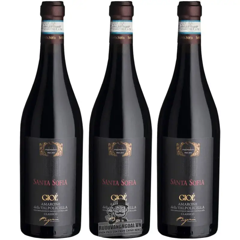 Địa chỉ bán sofia gioe amarone classico giá rẻ tại Sài Gòn