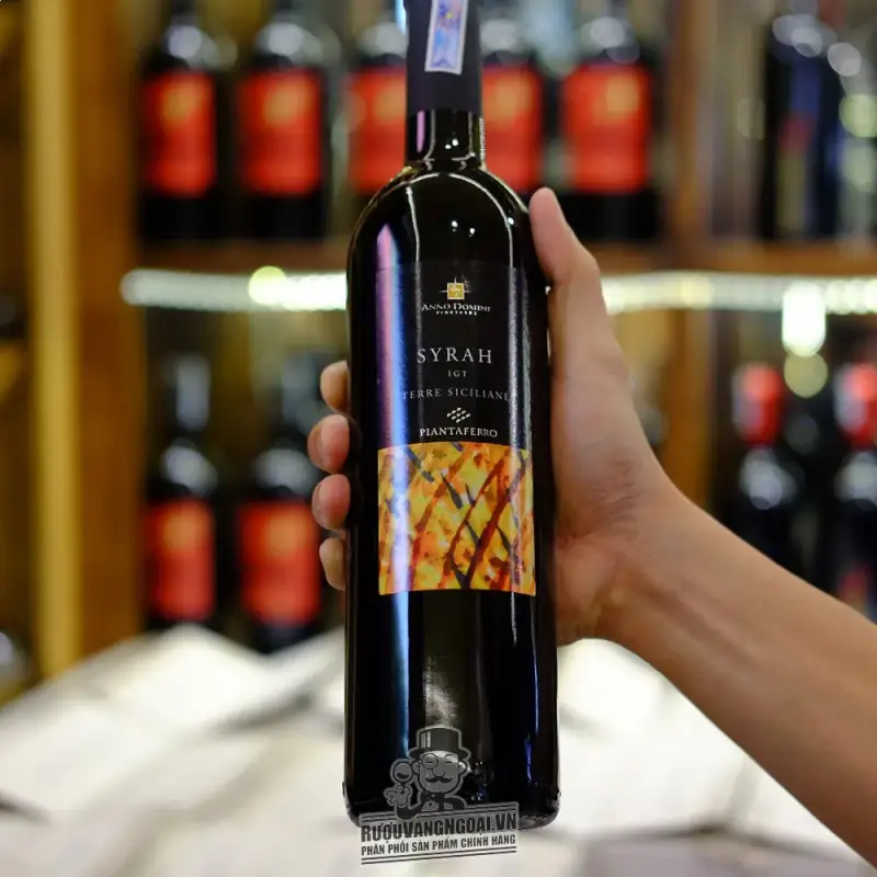 Rượu Vang Ý Syrah Igt Terre Siciliane uống ngon