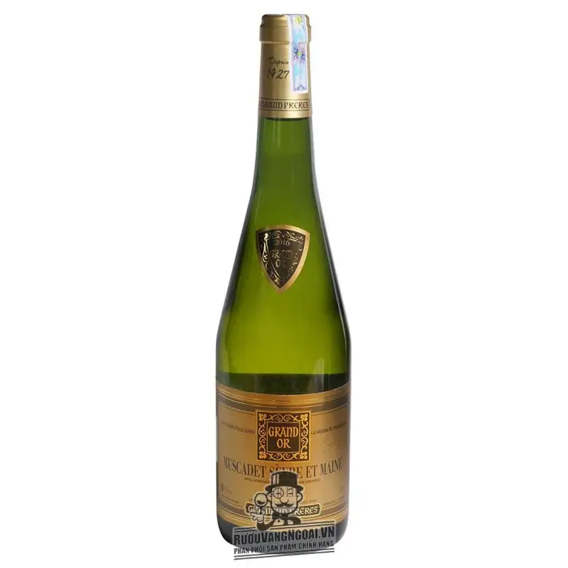 Địa chỉ bán vang phap muscadet sevre et maine sur lie guilbaud freres giá rẻ tại Sài Gòn