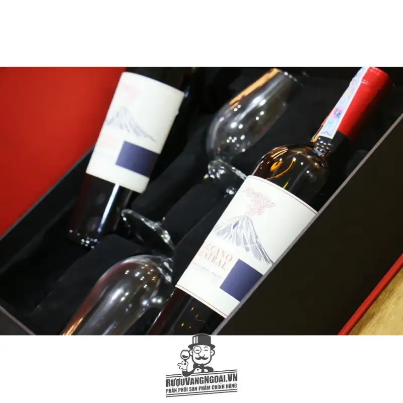 Địa chỉ bán ruou vang chile volcano austral cabernet sauvignon merlot gia re giá rẻ tại Sài Gòn