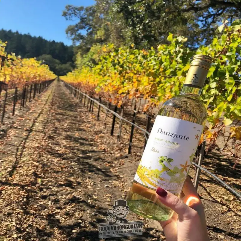 Mua vang y danzante pinot grigio veneto giá rẻ tại Sài Gòn