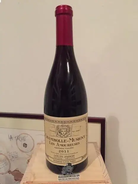 Vang Pháp Chambolle Musigny Les Amoureuses Louis Jadot 2014