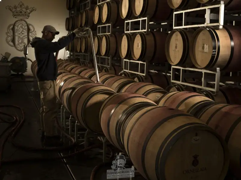 Ornellaia Le Serre Nuove dell‘Ornellaia 2015