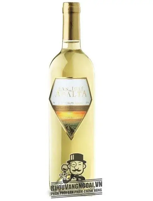 Vang Chile San Jose De Apalta Trandition Sauvignon Blanc