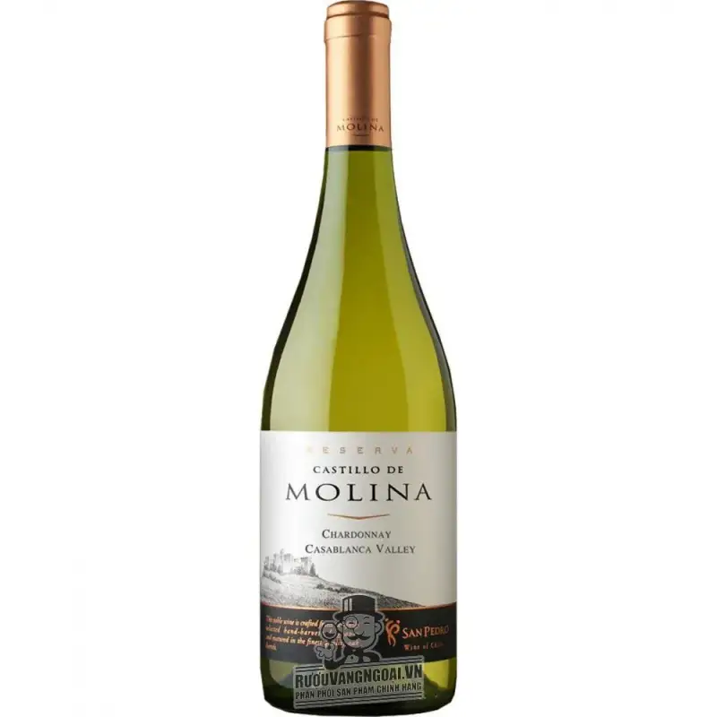 Vang Chile Castillo de Molina Reserva Chardonnay Chiết khấu cao