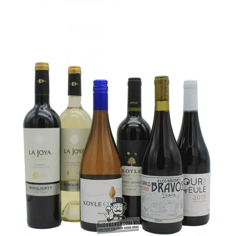 Sauvignon Blanc Koyle