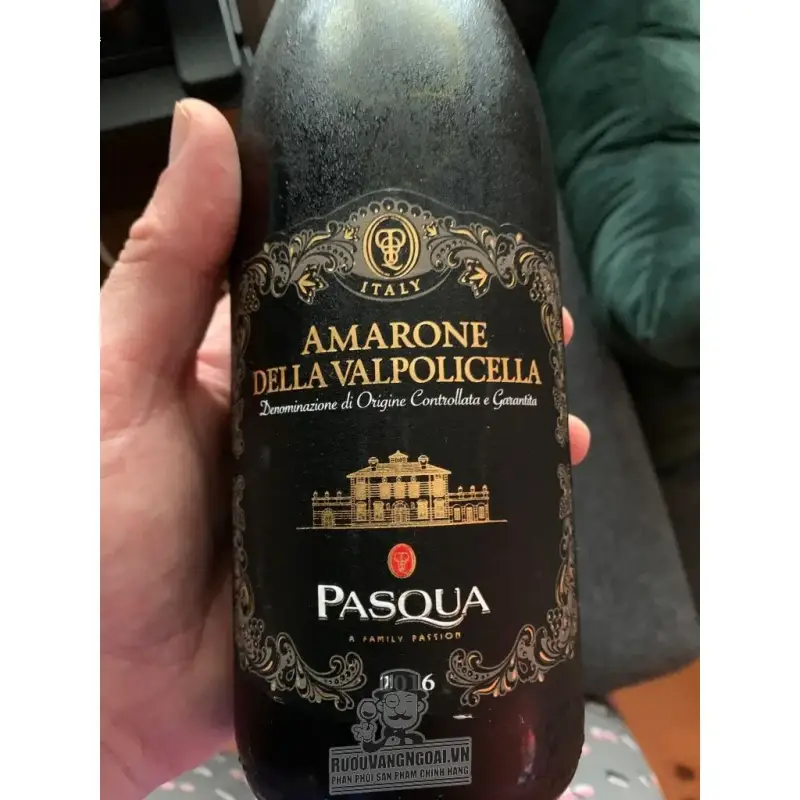 vang-y-amarone-della-valpolicella-pasqua