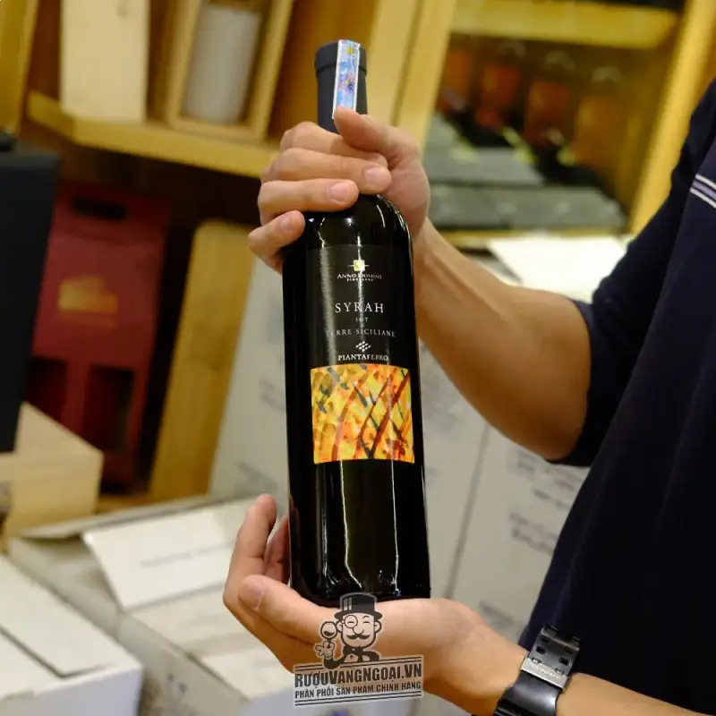 Giá ruou vang do chat syrah igt terre siciliane