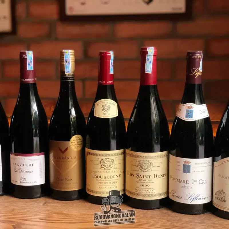 vang phap couvent des jacobins bourgogne pinot noir giá bao nhiêu