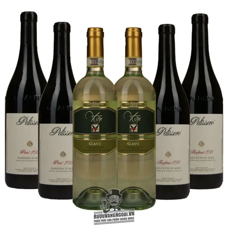 Mua vang y pelissero piani barbera d alba piemonte diem giá rẻ tại Sài Gòn
