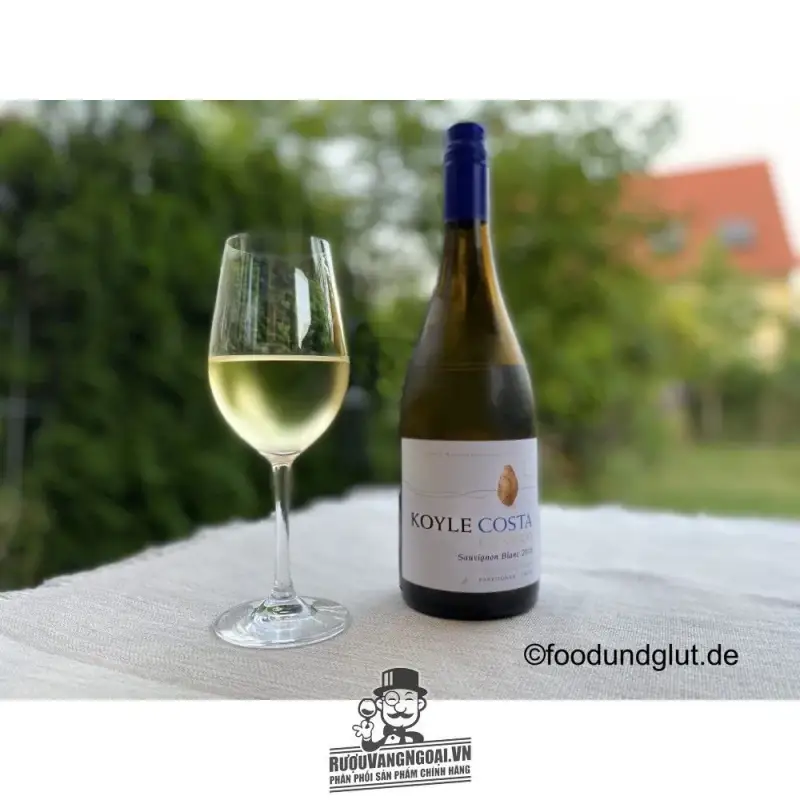 vang-chile-koyle-costa-cuarzo-sauvignon-blanc