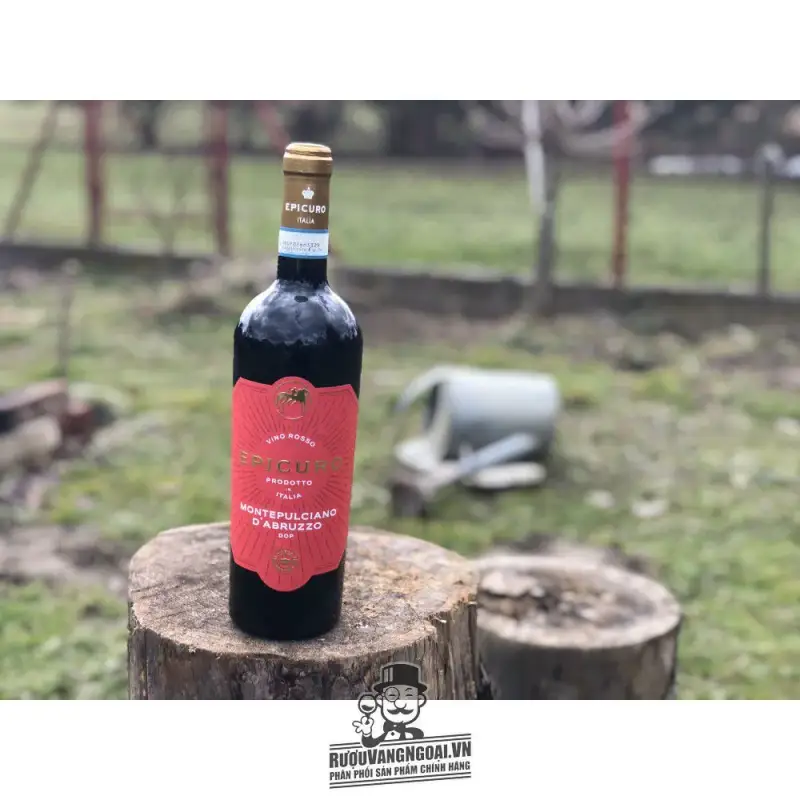 Mua ruou vang y epicuro montepulciano d abruzzo d o p giá rẻ tại Hà Nội